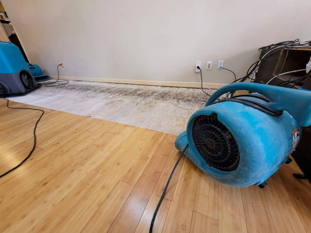 Professional Water Extraction technician working in Detroit, MI